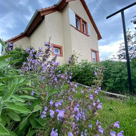 Le Refuge De L'Ours Villa Baerenthal Exterior photo