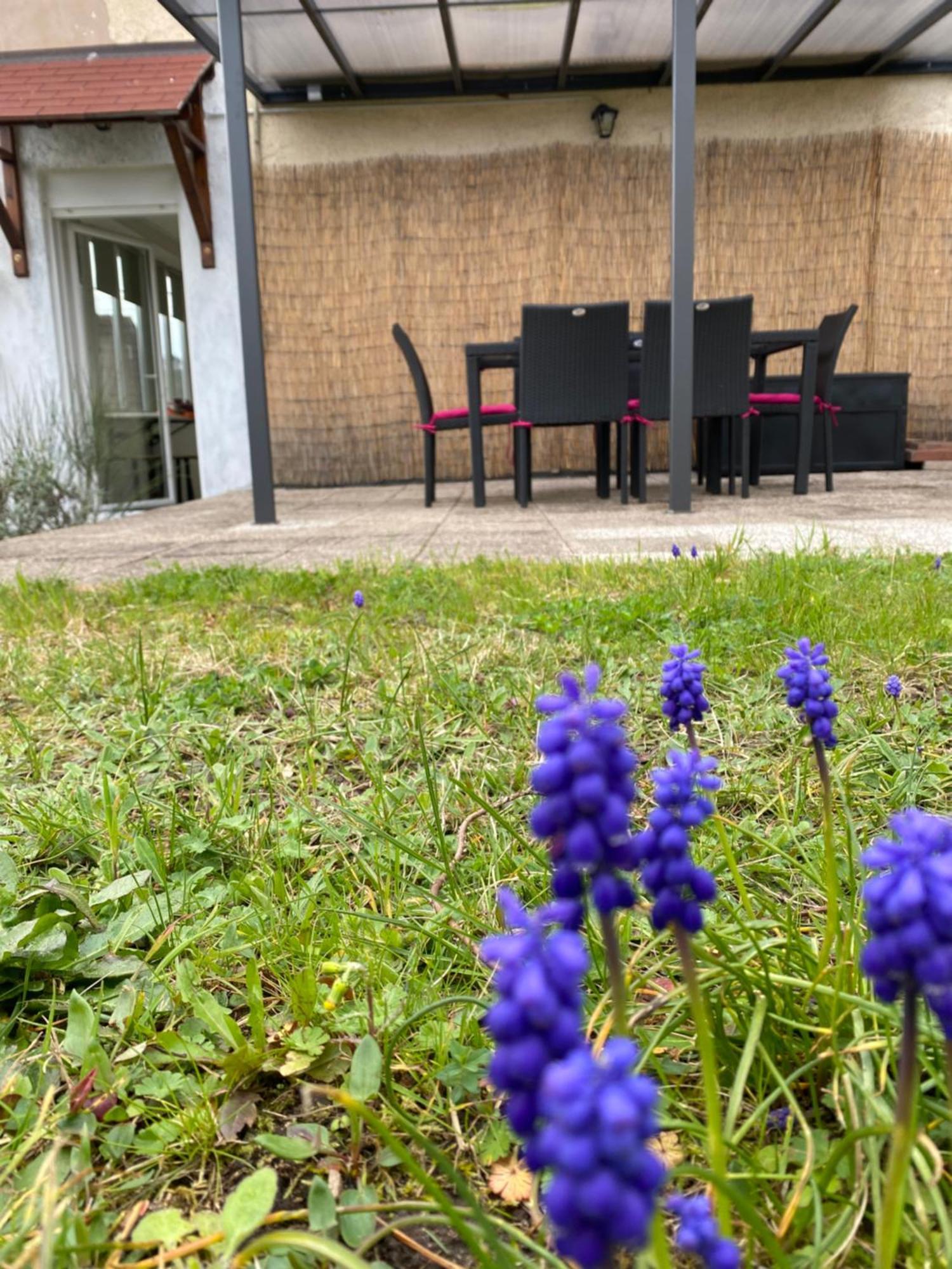 Le Refuge De L'ours Ferienhaus Baerenthal