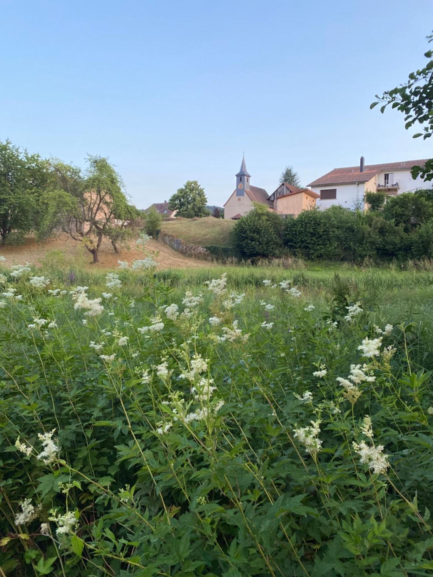 Le Refuge De L'ours Hébergement de vacances Baerenthal