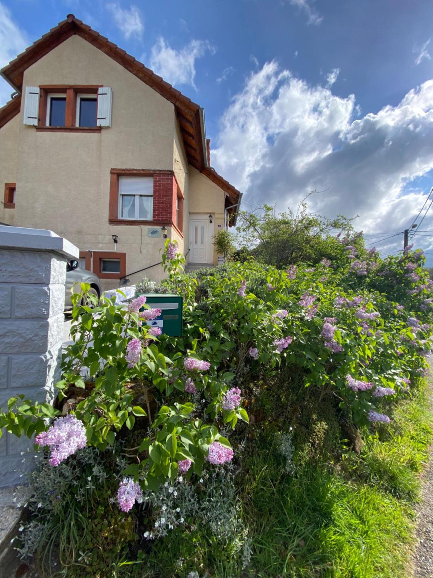 Ferienhaus Le Refuge De L'ours