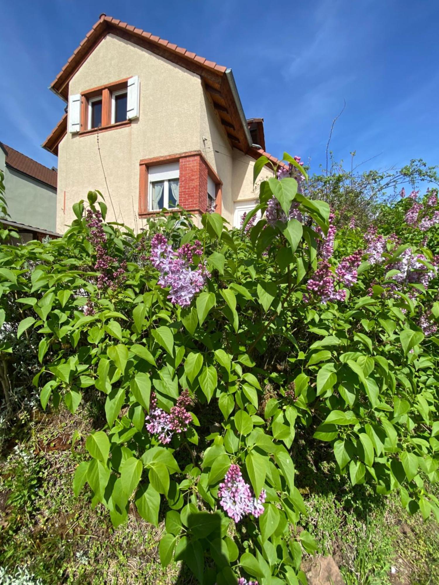 Le Refuge De L'ours Сasa de vacaciones Baerenthal